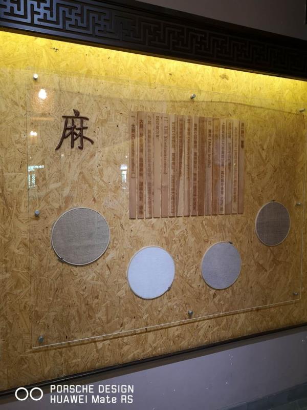 雷速体育手机网页版登录入口