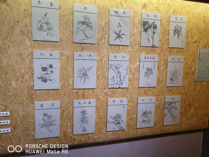 雷速体育手机网页版登录入口