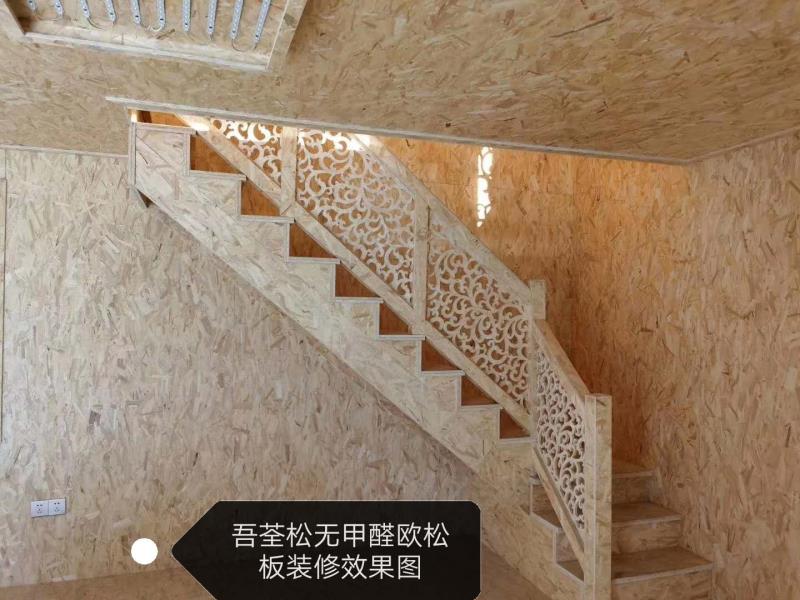 雷速体育手机网页版登录入口